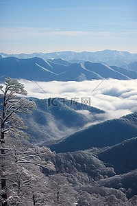 烟雾缭绕的山背景图片_冬季白雪覆盖的烟雾缭绕的山脉