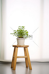 长腿木凳背景图片_地上有植物的木凳