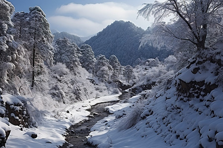 冬天的苏联山在雪中