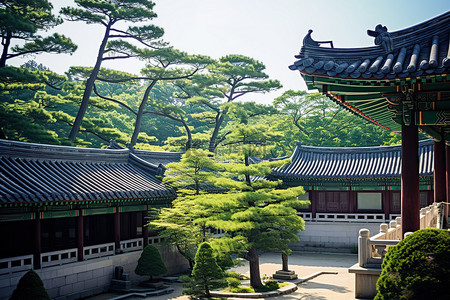 世界很大何必慌张背景图片_阳光下的韩国宫殿
