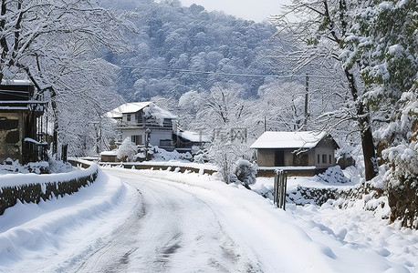 chowk mtn 路被雪和村庄内的树木覆盖
