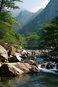 流淌水背景图片_岩石和树木靠近流淌的河流
