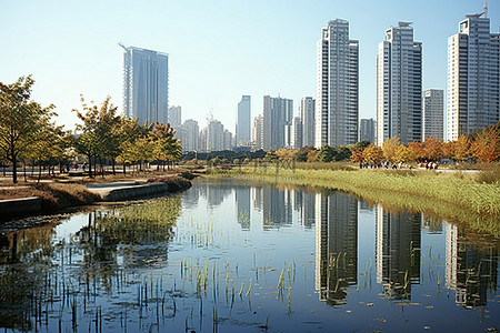 市区的一个池塘，附近有城市建筑物和高层建筑