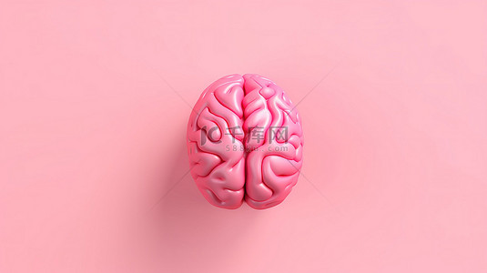 粉红色简约背景 3D 渲染上的大脑顶视图