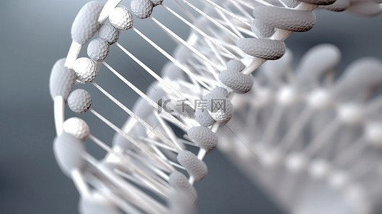 灰色背景与 3D 渲染抽象白色 DNA 结构