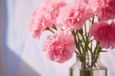 一个透明的花瓶里有粉红色的康乃馨