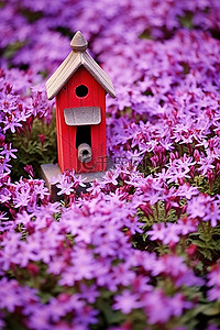 花背景图片_鸟舍坐落在紫色的花坛上