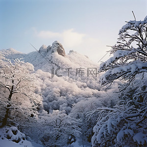 雪天，树木附近的雪覆盖着山脉