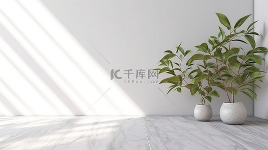 纹理白背景背景图片_宁静的自然背景木地板白色大理石墙，3D 渲染中带有叶影