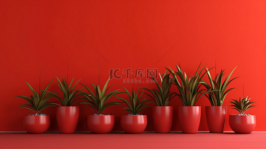 色彩鲜艳的盆栽植物在大胆的红色背景下充满活力的室内植物添加您的文本 3D 渲染