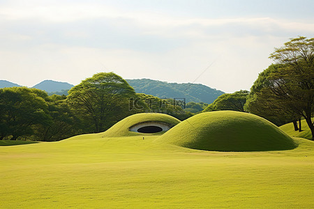 田野上有四个草甸形状的土丘，背景中有树木