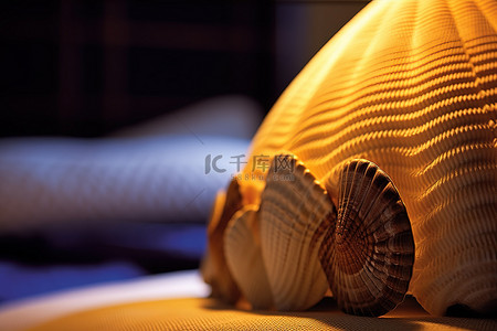 床上的背景图片_白色坐垫上的羽绒被床上的贝壳灯