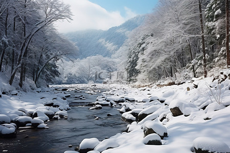 日本北部山区河流的雪