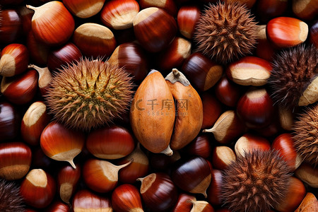 食品栗子背景图片_栗子和水果食品坚果种子山核桃核