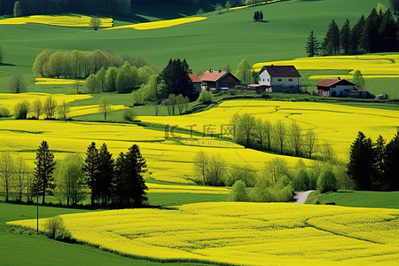 斯洛伐克背景图片_斯洛伐克高地的春天