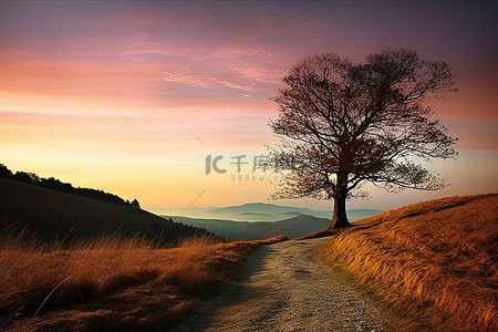 天安门摄影背景图片_山谷小路上的一棵孤独的树，天空中的风景