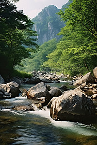 流淌水背景图片_岩石和树木靠近流淌的河流