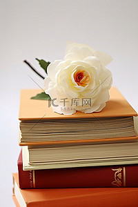 一摞摞书背景图片_一摞橙色书顶上的一朵白花