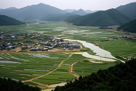 稻田村庄背景图片_山边的一个村庄，有稻田
