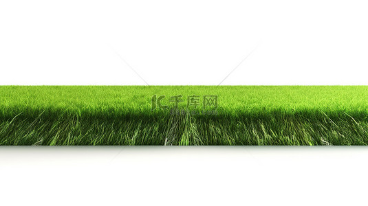 3d 渲染中的白色背景隔离绿草足球场
