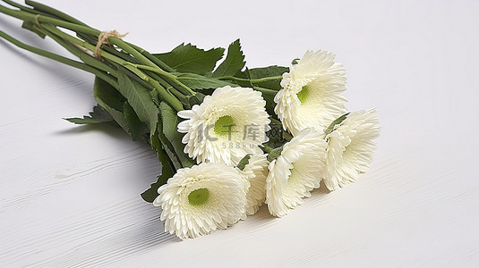 6.1背景图片_白色花店填料 白色非洲菊 6 茎 fag1a