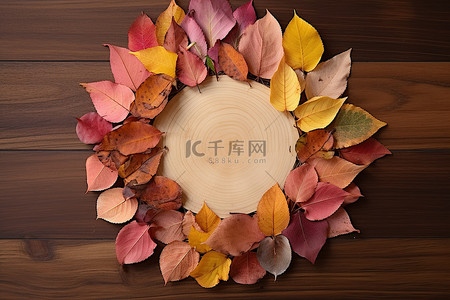 木板秋叶背景图片_木板上一大圈叶子