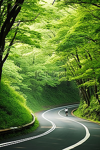 骑行的人背景图片_道路蜿蜒穿过一片树林，人们沿着它骑行