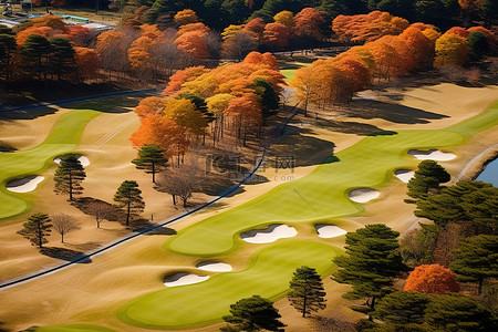 乡村振兴免费背景图片_锅山高尔夫俱乐部的第三个果岭