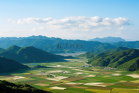 从山顶看到稻田和山脉