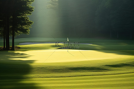 高尔夫球头像背景图片_阳光照在明亮的高尔夫球场上