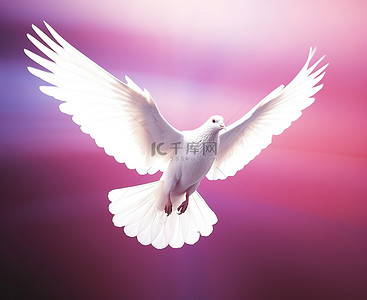 飞翔的鸟背景图片_一只白色的鸟，翅膀前有紫色的光芒飞翔