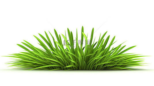 白色背景下孤立的新鲜绿草叶片的充满活力的 3D 插图