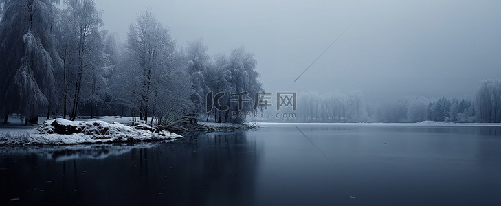 冬天的人背景图片_黑暗中雪覆盖了树木和湖泊