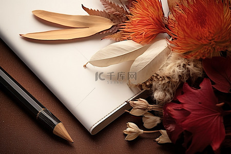 叶子和花背景背景图片_秋天的日记叶子铅笔花和叶子