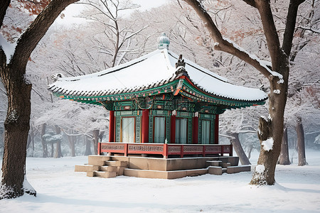 oa日报背景图片_首尔日报的雪