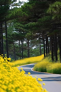 一条路穿过松树，穿过几朵黄色的花
