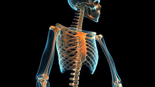 痛苦的手臂 3d 渲染的骨骼疼痛插图