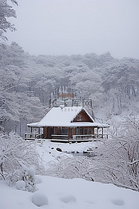 松树上的雪背景图片_屋顶上有雪的小房子