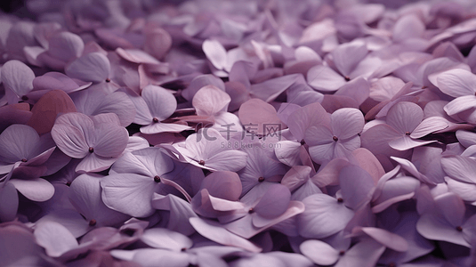 水彩花卉边框背景图片_紫色绣球花花瓣背景