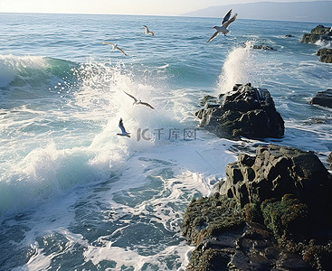 小鸟飞过海岸的岩石和海浪