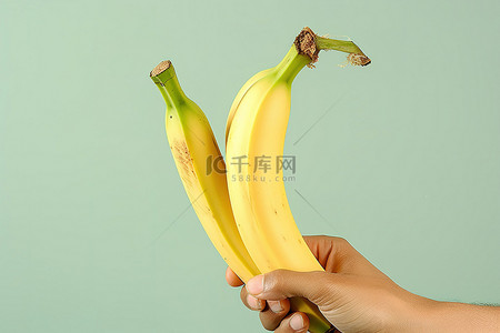 人拿水果背景图片_一只手掌拿着一根香蕉，上面有皮