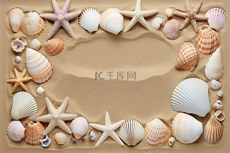 贝壳在周围的沙子上排列成方形