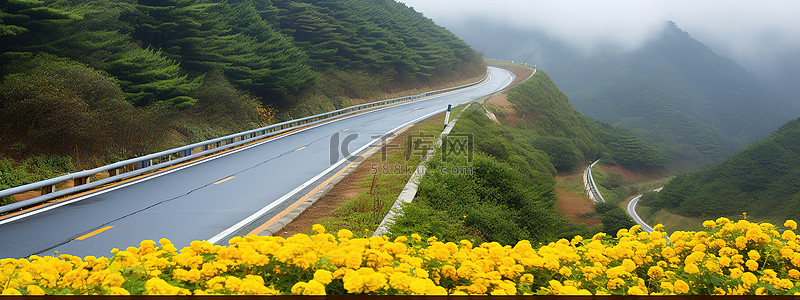 天气背景图片_湿路边一条黄花覆盖的路