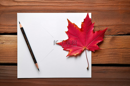木桌上的红枫叶和彩色铅笔