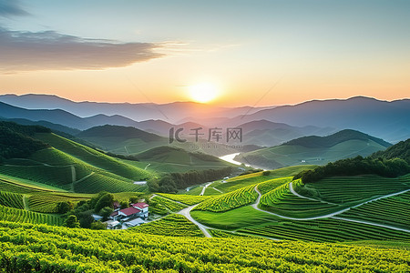丘陵背景图片_韩国丘陵田野的日出