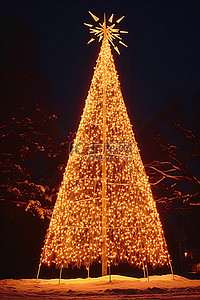 一棵大圣诞树在黑暗中亮起