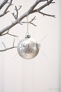 白墙旁边树枝上的圣诞装饰品