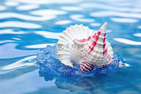 蓝色冰爽背景背景图片_回水中冰上的贝壳