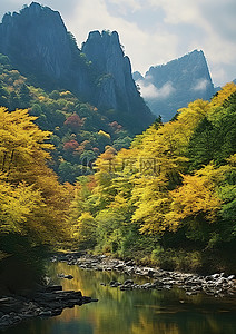 秋叶和河流包围