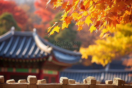 秋叶背景图片_屋顶上的韩国秋叶